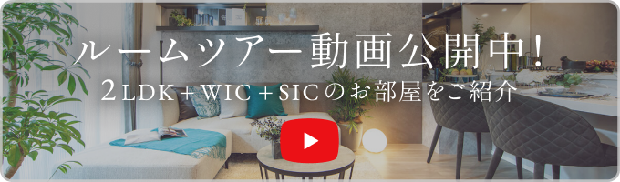 動画を見る